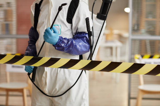 Professional Sewage Cleanup technician working in Farwell, NE